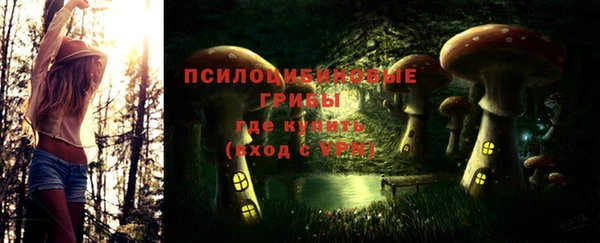 твердый Алзамай