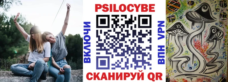 как найти закладки Магадан Псилоцибиновые грибы Psilocybe