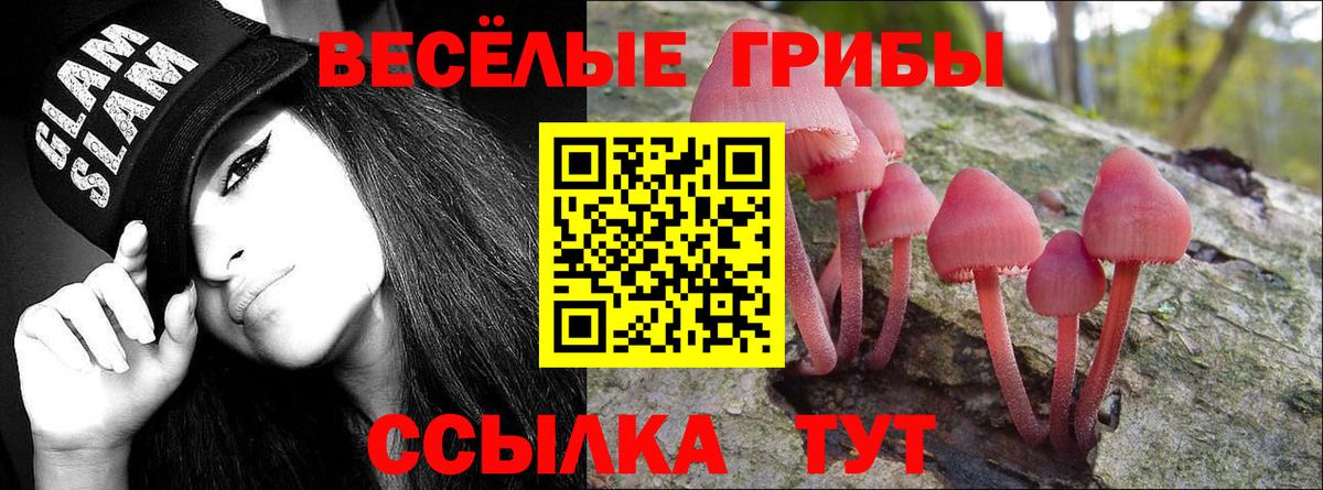Псилоцибиновые грибы Psilocybine cubensis  Псилоцибиновые грибы GOLDEN TEACHER  Вход с VPN  Магадан 